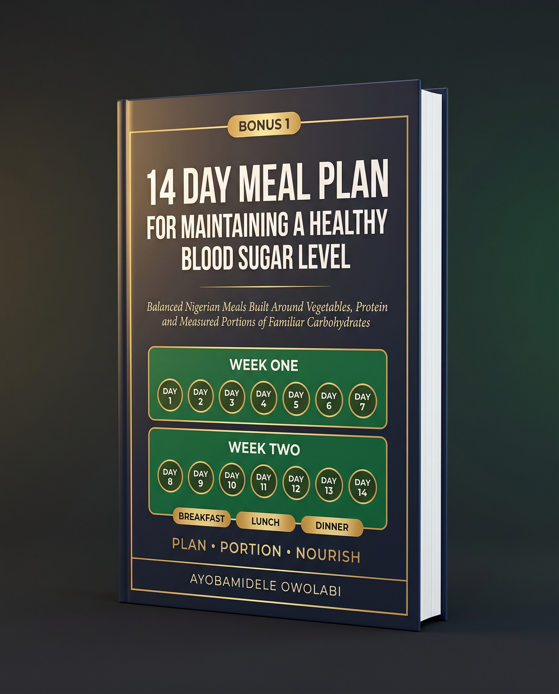 14 Day Meal Plan book cover